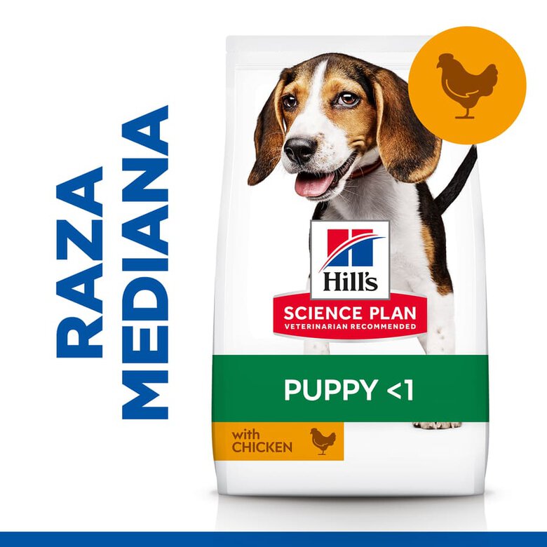 Hill's Science Plan Puppy Medium pollo pienso para perro, , large image number null